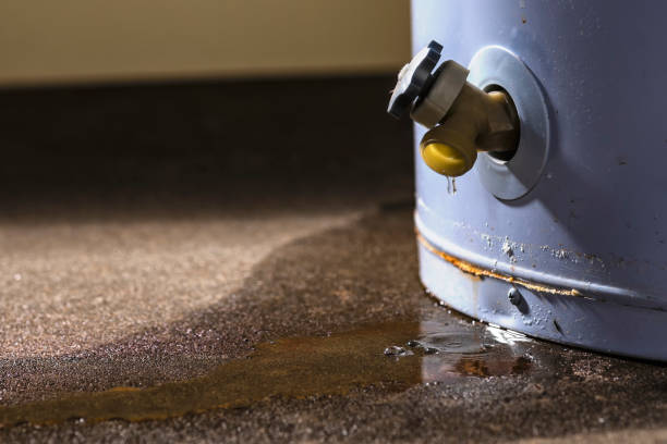 Best Basement water damage restoration  in Oakfield, WI