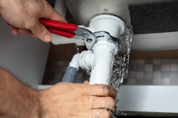 Best Fire Damage Restoration  in Oakfield, WI