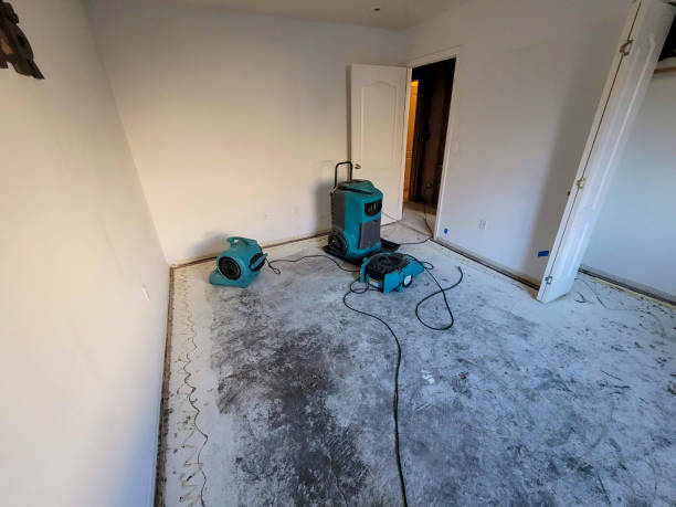 Best 24-hour water damage restoration  in Oakfield, WI