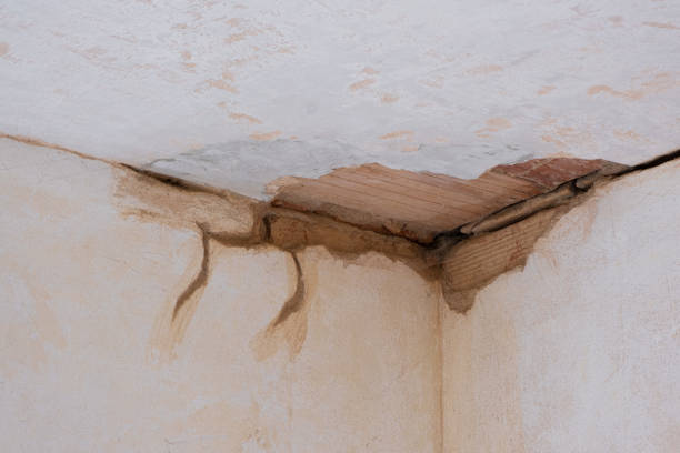 Best 24/7 water damage repair  in Oakfield, WI