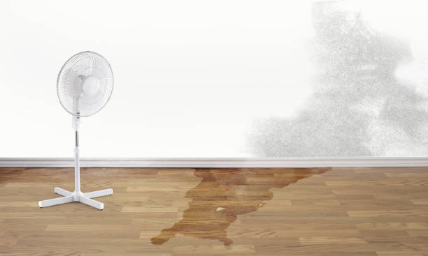 Best 24-hour water damage restoration  in Oakfield, WI