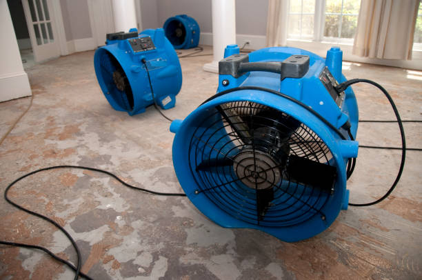  Oakfield, WI Water damage restoration Pros