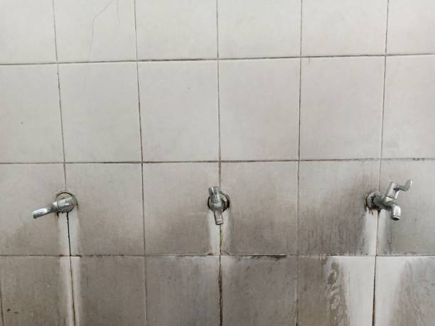 Best Local water damage restoration  in Oakfield, WI