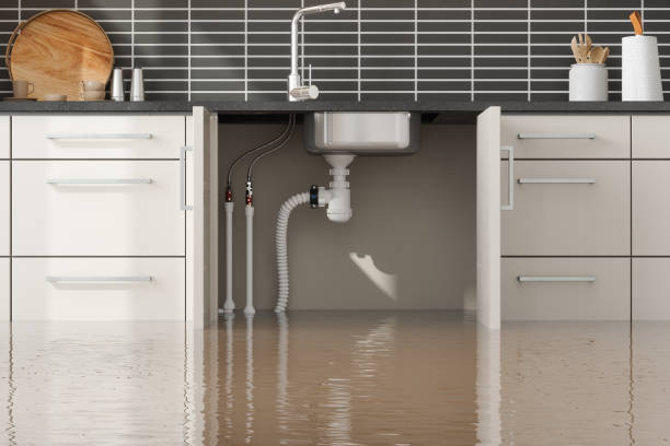 Best Water damage cleanup near me  in Oakfield, WI