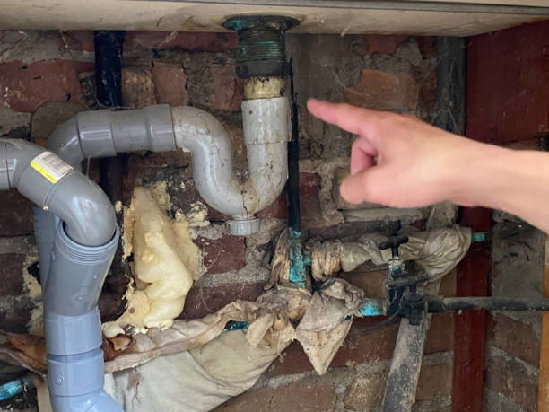 Best Professional water damage repair  in Oakfield, WI