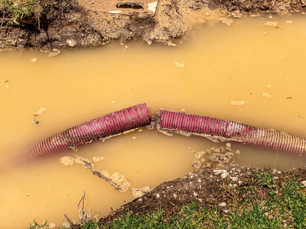 Best Mold removal after water damage  in Oakfield, WI